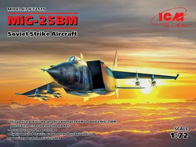 ICM 1:72 72175 MiG-25 BM, Soviet Strike Aircraft