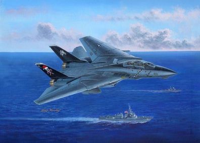 Hobby Boss 1:48 80367 F-14B Tomcat