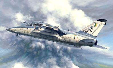 Hobby Boss 1:48 81744 A-1B Trainer