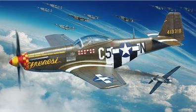 Eduard Plastic Kits 1:48 82101 P-51D-5 Mustang 1/48