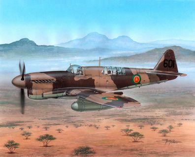 Special Hobby 1:48 100-SH48151 Fairey Firefly FR Mk.I Foregin Post War