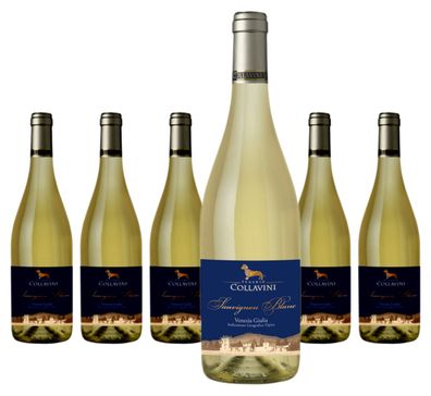 6 x Eugenio Collavini Sauvignon Blanc IGT – 2020