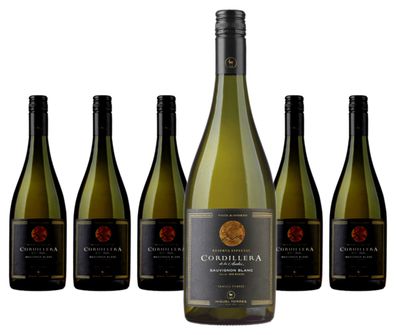 6 x Miguel Torres Cordillera Sauvignon Blanc Elqui Valley – 2022