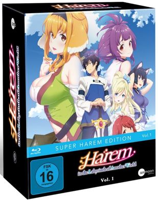 Harem in the Labyrinth of Another World - Vol.1 - Limited Edition - Blu-Ray - NEU