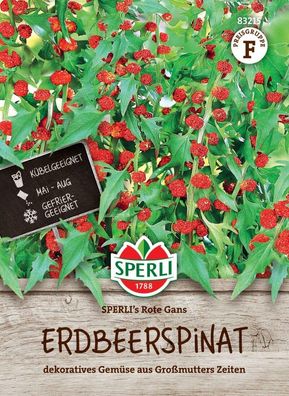 Erdbeerspinatsamen SPERLI's Rote Gans, dekoratives Gemüse - Kübelgeeignet