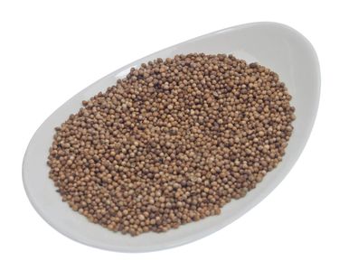 SENA -Premium - ganzer Koriander