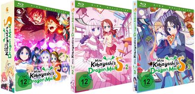 Miss Kobayashi´s Dragon Maid S - Staffel 2 - Vol.1-3 - Blu-Ray - NEU