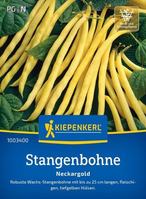 Stangenbohne Neckargold, robuste Wachs-Bohne mit fleischig tiefgelben Hülsen,