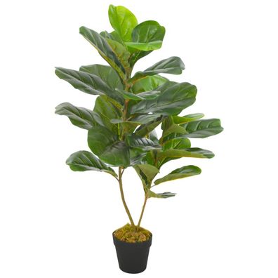 Mega-Shop XL | Feigenbaum | Ficus carica | Ficusbaum | Geigenfeige | Dekopflanze