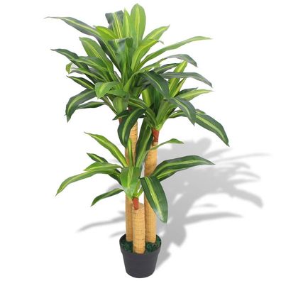 Dracaena draco | Drachenbaum | Zimmerpflanze | Künstlich | Büropflanze | getopft