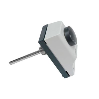 Tauchthermostat Typ 100 AN DN15 (1/2" AG), Einbaulänge 100mm 500000200