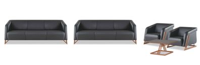 Ledersofas Couch 3-Sitzer Sessel Couchtisch Sofa-Set Sofagarnituren