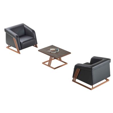 Sitzmöbel Sessel Couchtisch Schwarz Braun Bronze Leder Modern Edelstahl