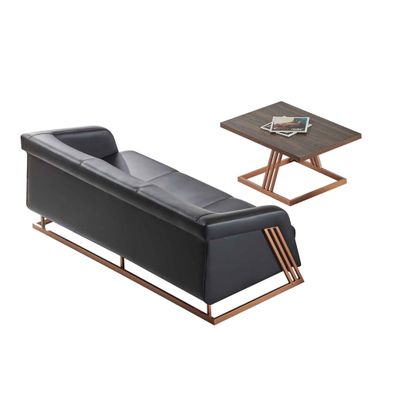 Sofa 3-Sitzer Ledersofa Couchtisch Couch Sitzmöbel Modern Leder Holz