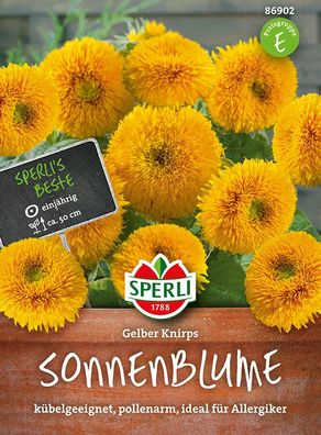 Sperli Sonnenblumen Gelber Knirps - Blumensamen