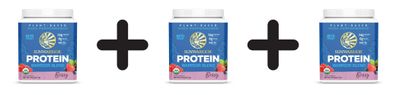 3 x Sunwarrior Warrior Blend Organic (375g) Vanilla