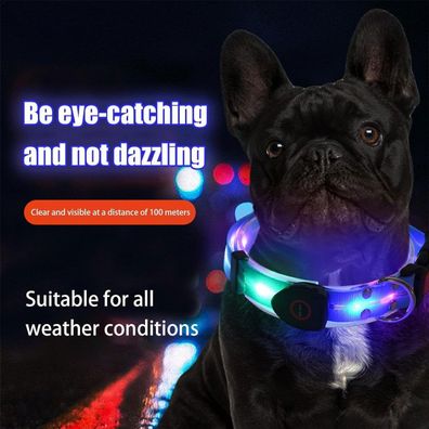 LED-Leuchthalsband für Hunde - Wetterfest, wiederaufladbare Lichter