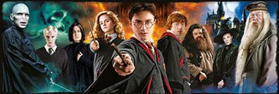 Harry Potter Panorama