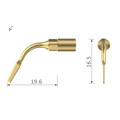 Ultraschallspitze EX1 für Mectron* - Xpedent Austria GmbH, Extraktionsskalpell für Wu