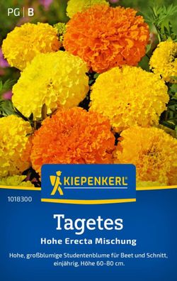 Tagetes Hohe Erecta Mischung, hohe, großblumige Studentenblume für Beet und