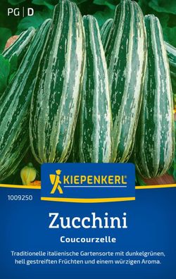 Zucchini Coucourzelle, traditionelle italienische Gartensorte - würziges