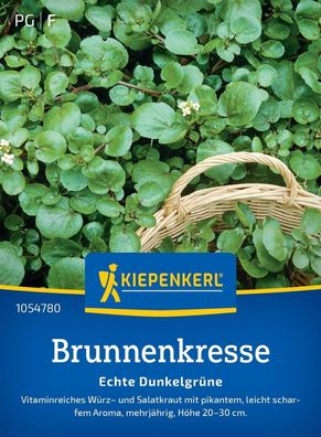 Brunnenkresse Echte Dunkelgrüne, Vitaminreiches Würz- und Salatkraut