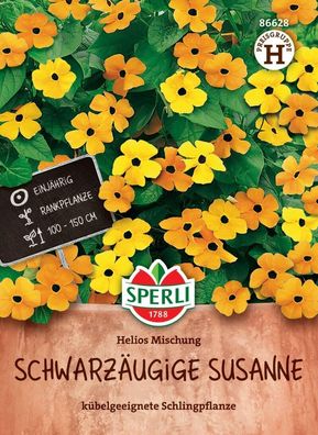 Schwarzäugige Susanne Samen Helios, kübelgeeignete Schlingpflanze - Rankpflanze