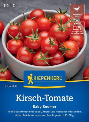 Kirsch-Tomate, Baby Boomer, F1, Mini-Buschtomate für Kübel, Ampel und