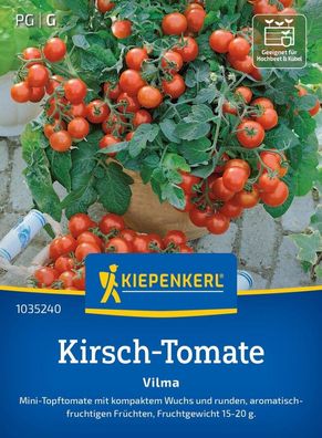 Kirsch-Tomate Vilma, Mini-Topftomate - kompakter Wuchs - ertragreich