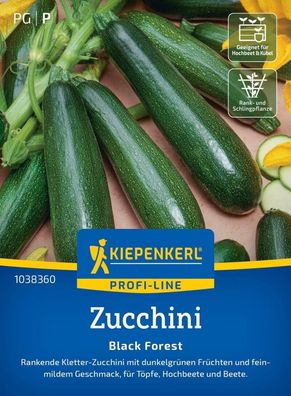 Zucchini Black Forest, rankende Kletter-Zucchini - Töpfe, Hochbeete u Beete