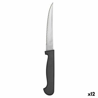 Fleischmesser Amefa Metall zweifarbig 21 cm 12 Stück Default Title