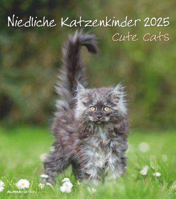 Niedliche Katzenkinder 2025 - Wandkalender 2025