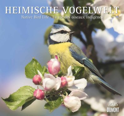 Heimische Vogelwelt 2025 - Wandkalender 2025