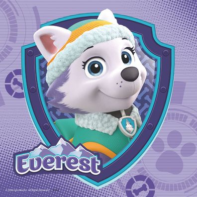 Paw Patrol - Skye & Everest