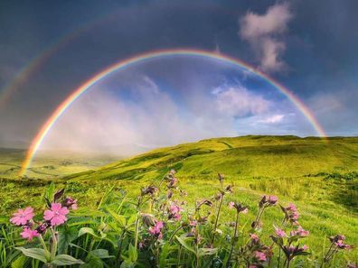 Spektakulärer Regenbogen