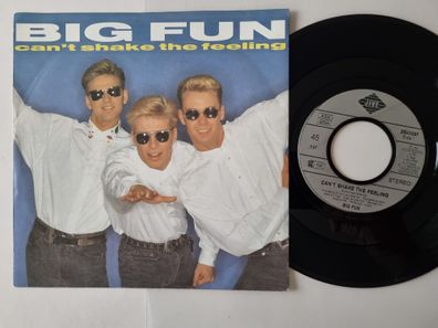 Big Fun - Can't shake the feeling 7'' Vinyl Germany