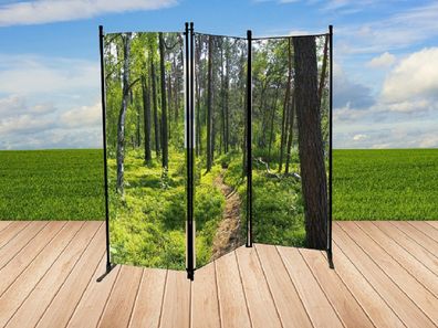 Paravent mit Fotodruck Wald, Sichtschutz, Raumteiler