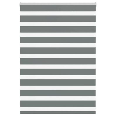 vidaXL Zebrarollo Dunkelgrau 100x100 cm Stoffbreite 95,9 cm Polyester