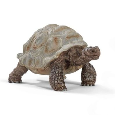 Schleich - Wild Life Giant Tortoise - Schleich 14824 - (Spielwaren / Figurines)