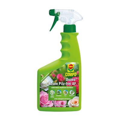 COMPO Duaxo Rosen Pilz-frei AF - 750 ml