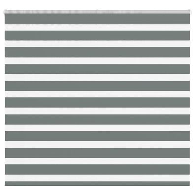 vidaXL Zebrarollo Dunkelgrau 155x150 cm Stoffbreite 150,9 cm Polyester