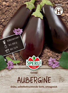 Aubergine Galine F1, Freiland und Gewächshaus, selbstbefruchtend, Saatgut von