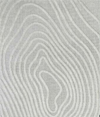 Designer Wohnzimmerteppich Teppich Linien Abstrakter Muster Grau Kurzflor