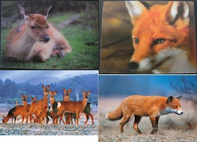 3 D Ansichtskarte Fuchs Hirsch Postkarte Wackelkarte Hologrammkarte Tier Reh