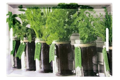 KESPER Serviertablett Herbs 48x30x3,5cm