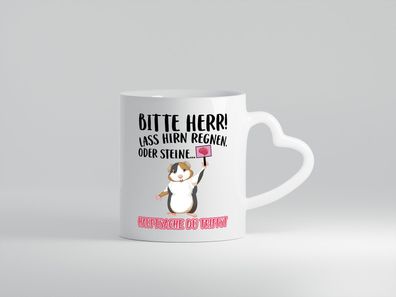 Lass Hirn regnen | Meerschweinchen Tasse | Sarkasmus - Herz Tasse Weiß