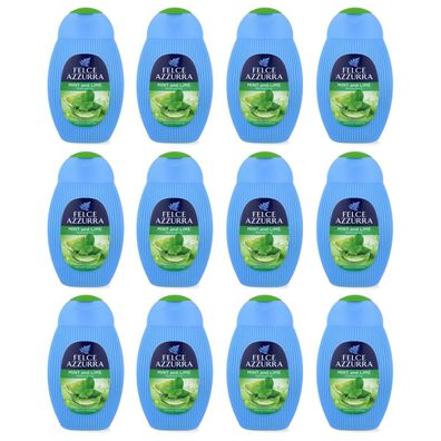 Paglieri Felce Azzurra Duschgel Minze & Limette 12 x 250 ml