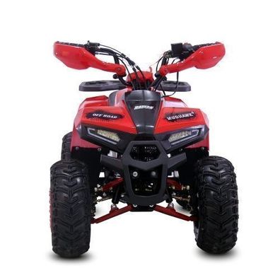 Quad ATV Kinderquad Miniquad 110cc MudHawk 1G7 Pocketbike Pocketquad