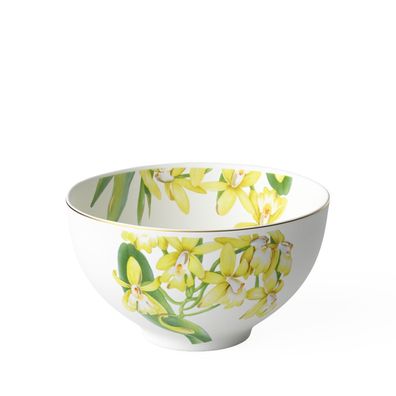 Villeroy & Boch Vorteilset 4 Stück Amazonia Bol Premium Bone Porcelain bunt handbe