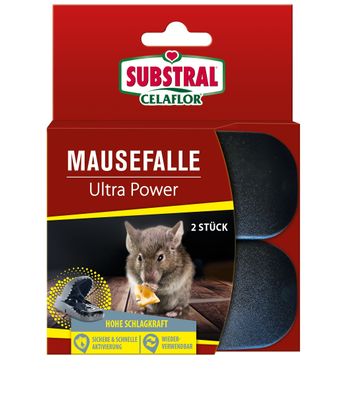 SUBSTRAL® Celaflor® Mausefalle Ultra Power, 2 Stück